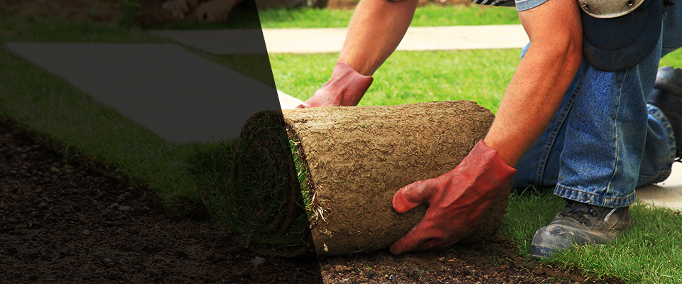 Cashmere Landscapers